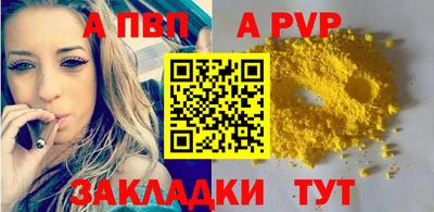 бошки Кингисепп