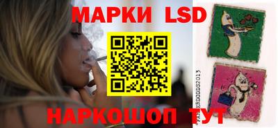 стафф Кинель