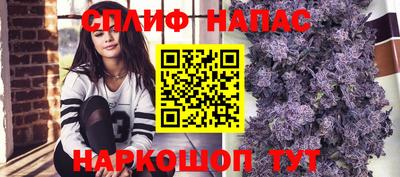 spice Коммунар