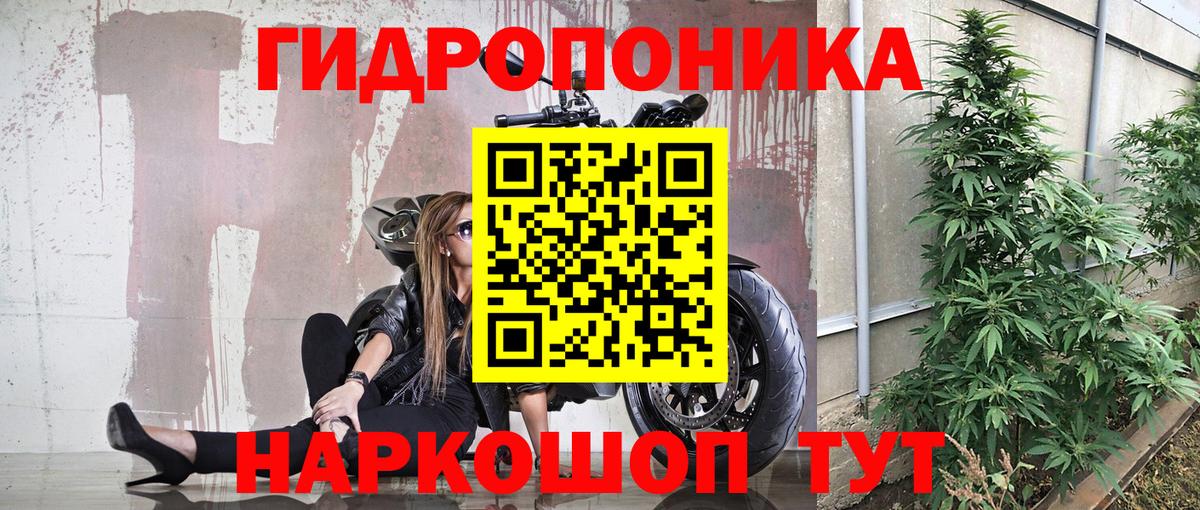 Шишки марихуана Bruce Banner  Вход с VPN  Бошки марихуана OG Kush  Куйбышев 